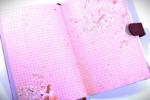 Dragon Wisdom Journal | Hidden Knowledge - Image 4