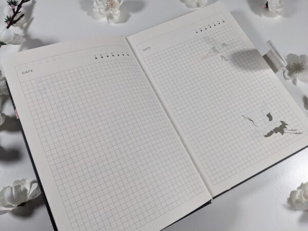 Mountain Crane Collection | Classic Journal, Return of Cranes - Image 6